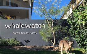 Whale Watch Ocean Beach Resort